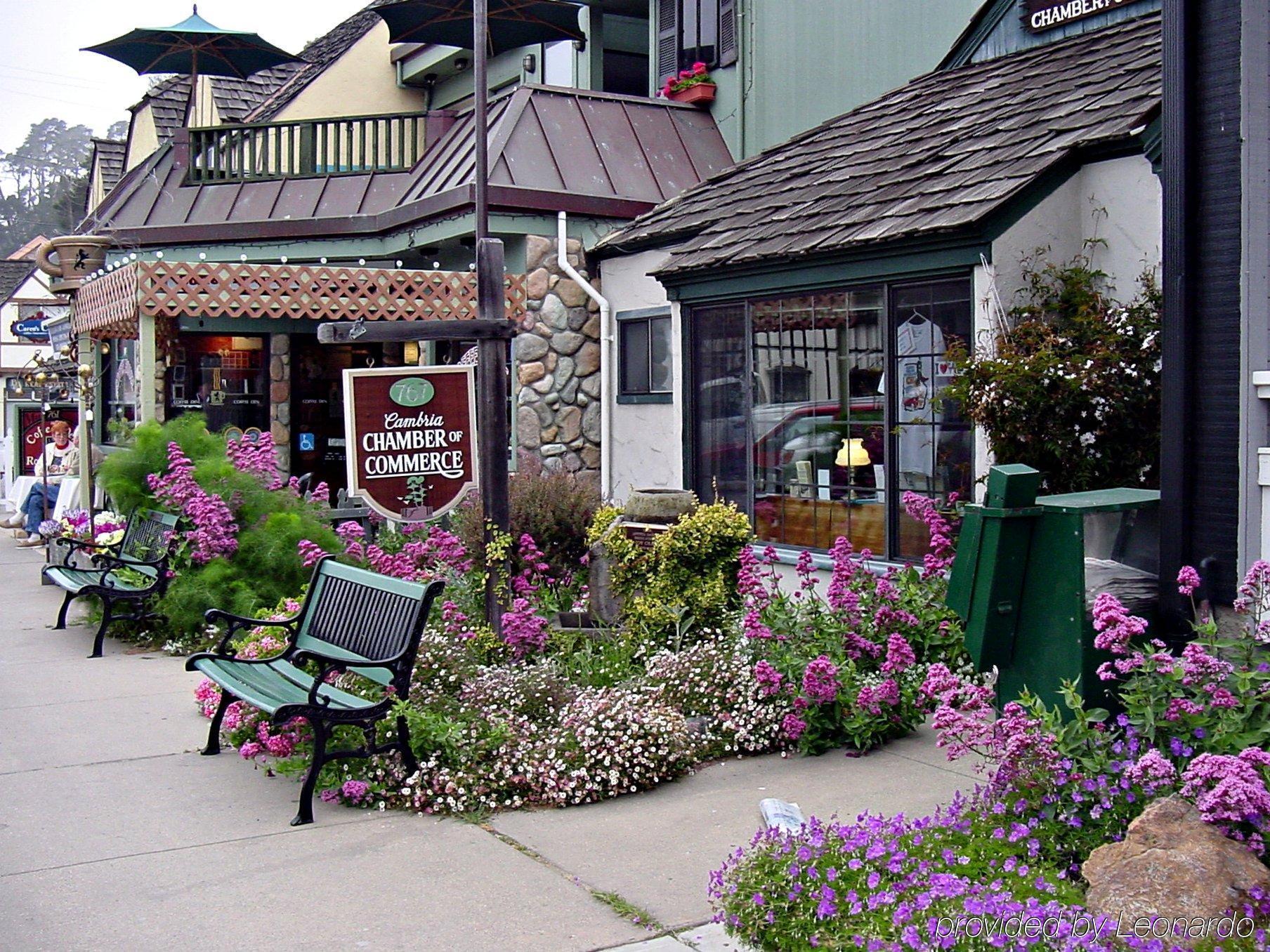 Castle Inn Cambria Exterior foto